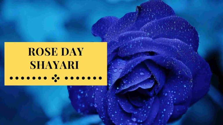 Rose Day Shayari | 100+ Red Rose Shayari in Hindi with Image